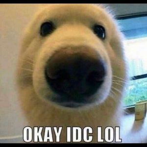 Meet your Posher, Daniel